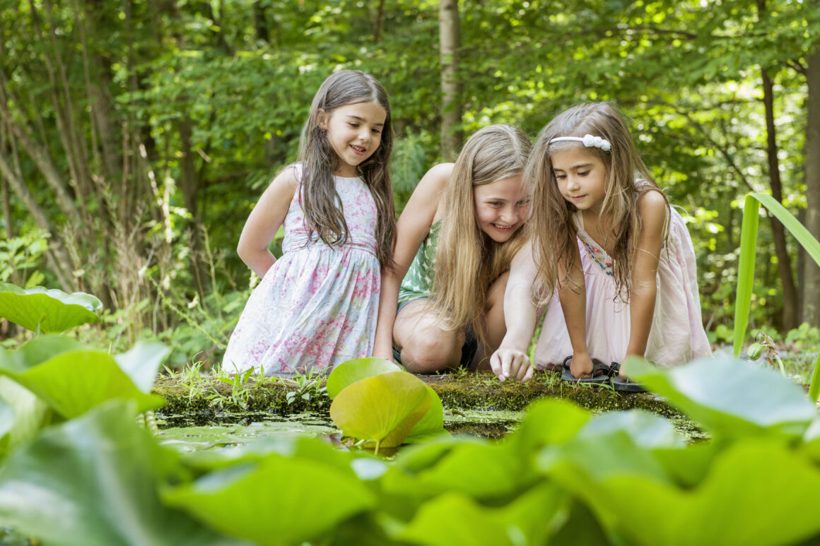 Già attive le prenotazioni per l’offerta di ECO Scuole per la primavera 2025